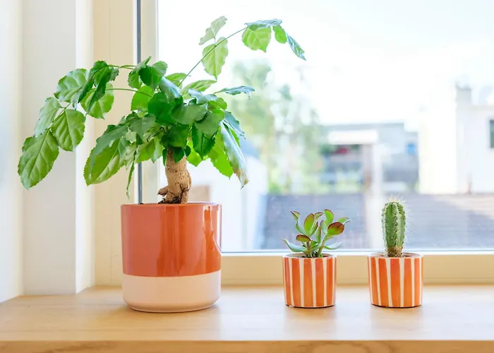 Maison D'architecte Sur Seine * Issy-les-Moulineaux